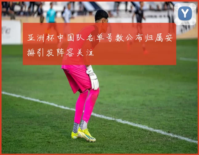 亚洲杯中国队名单号数公布归属安排引发阵容关注